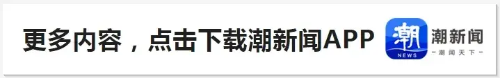 最佳, 萨尔布吕肯, img